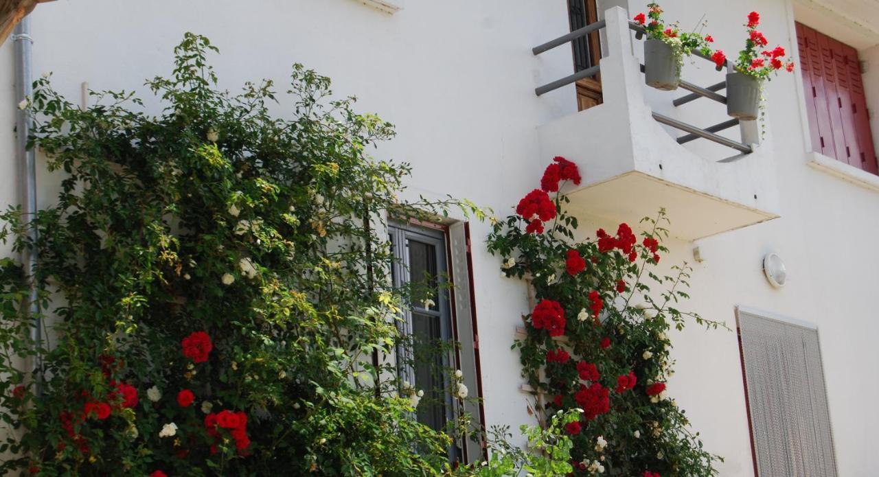 Auberge St P Vegetarien Bnb Saint-Pastous Eksteriør bilde